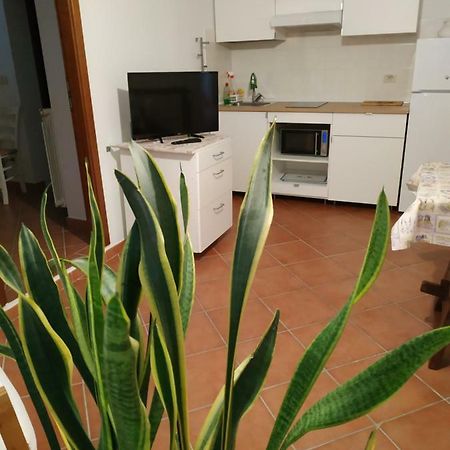 Gemini Appartamenti Grosseto Exterior foto